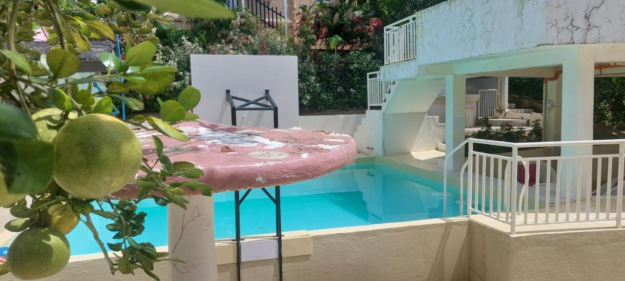 A Touch Of Pink Secret Eco Retreat With Pool, Starlink Wifi, Netflix, Mountain Views - Peaceful Stay In Puerto Princesa Near Underground River, Firefly Watching, And Waterfalls - Perfect Stop Between El Nido, Port Barton, And Puerto City - Scooter Re Exterior photo
